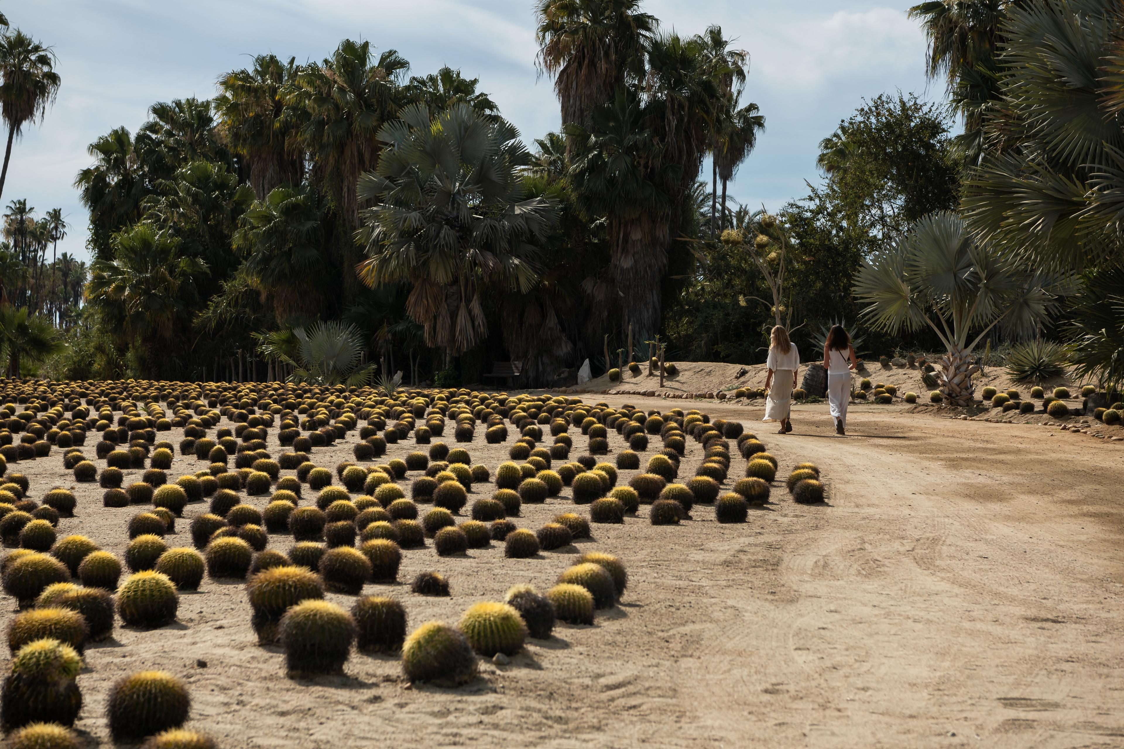 Jardín IKAL