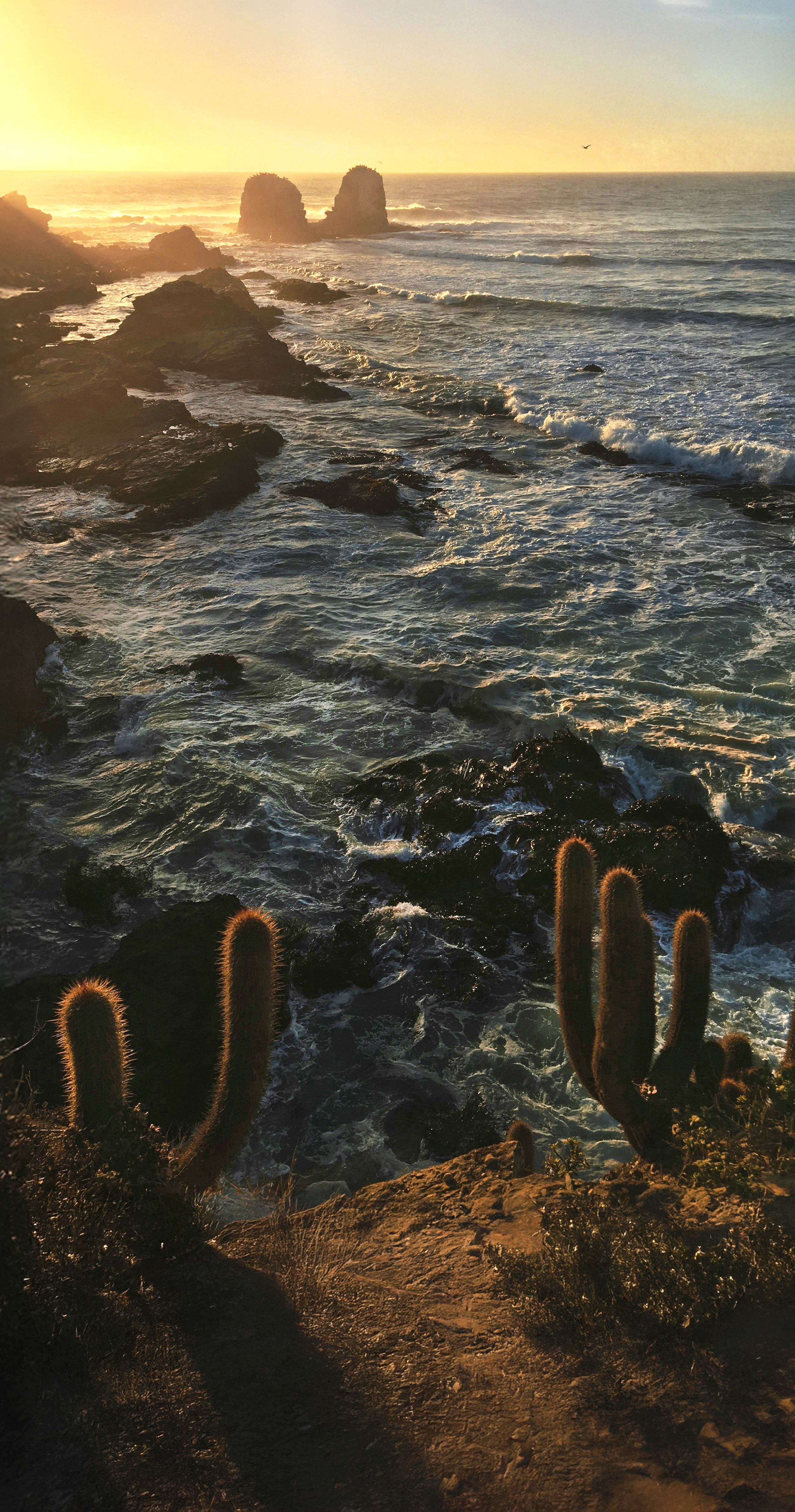 Paisaje de Puerto Los Cabos