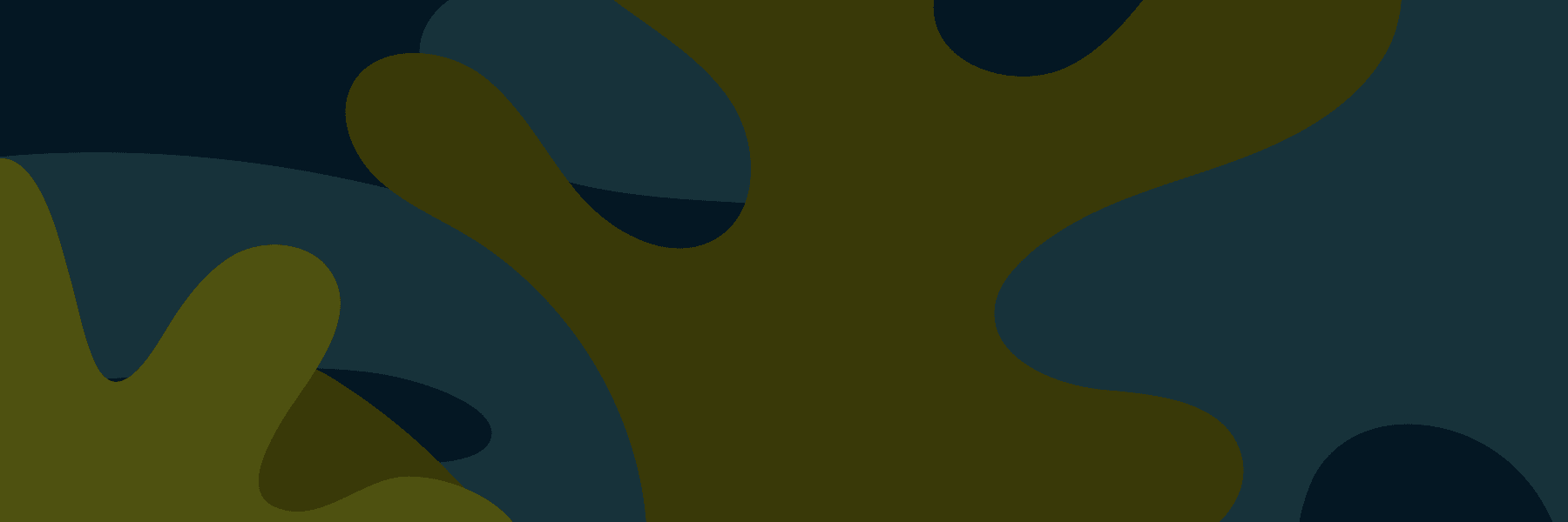 Banner de la sección Sobre el FICLosCabos