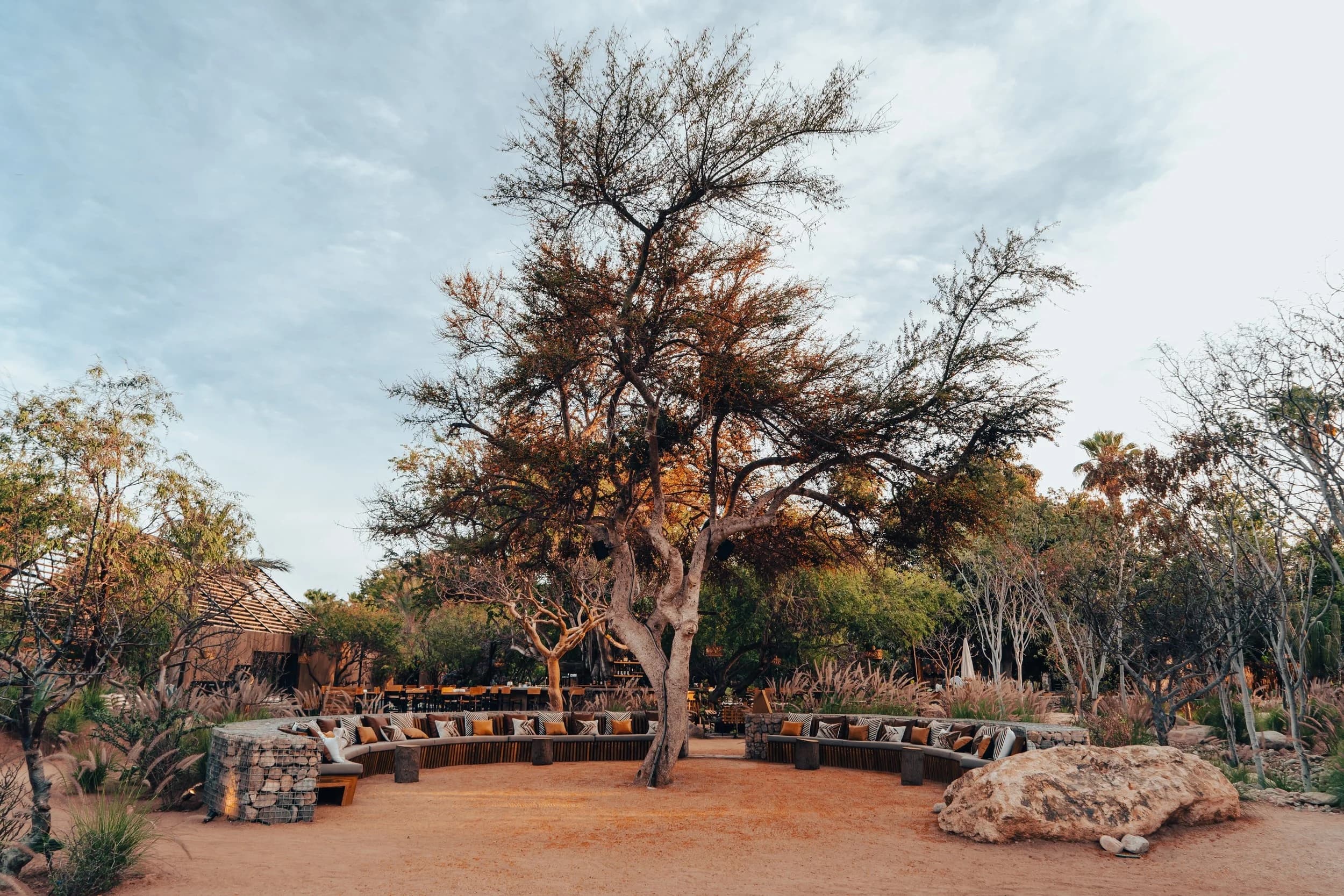 Premiación del Fondo Fílmico Gabriel Figueroa y La Baja Inspira.